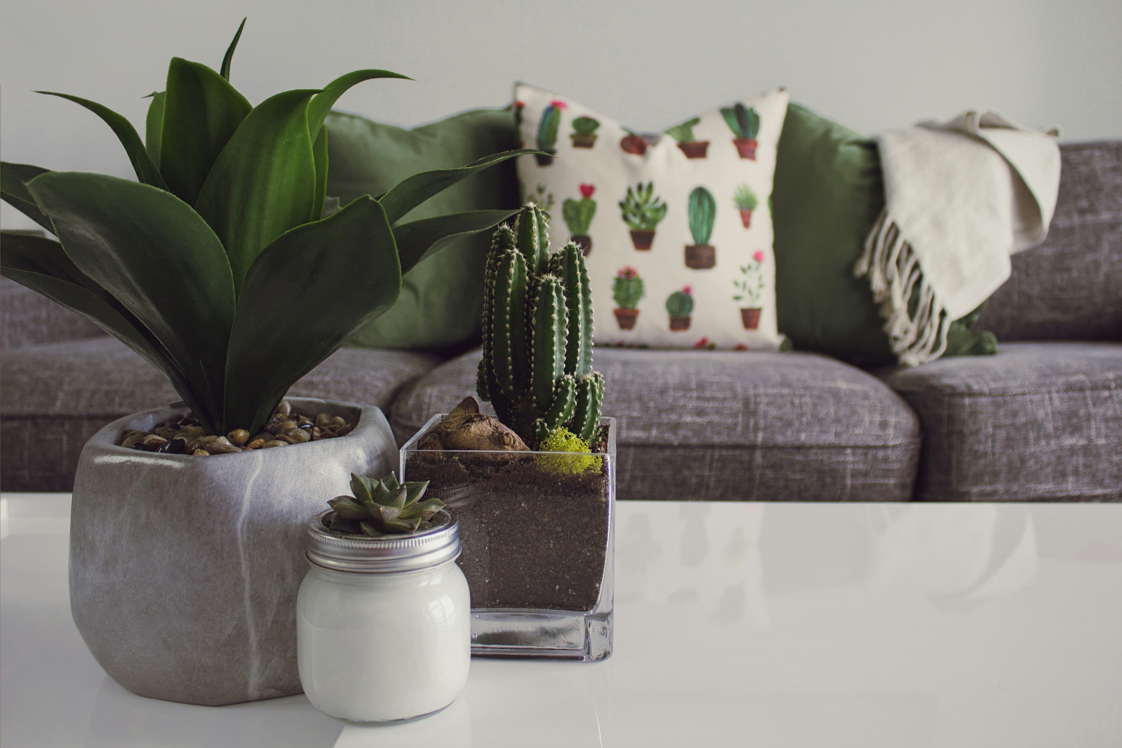10 Easy Home & Garden Ideas to Upgrade Your Space